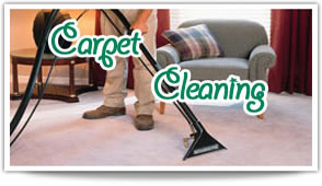 Carpet Cleaners